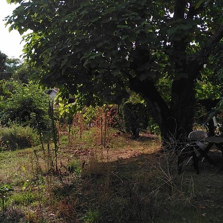 Villa Lulu Merignac  Ngoại thất bức ảnh